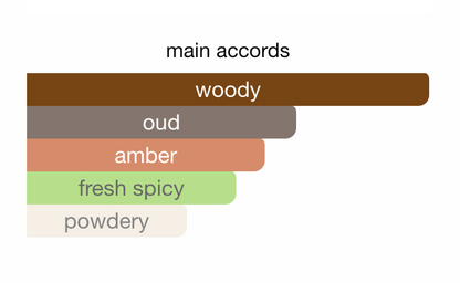 Brunello Cucinelli Ombra Lirica